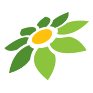 LINK SAKURA303